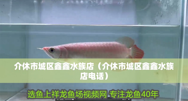 介休市城區(qū)鑫鑫水族店（介休市城區(qū)鑫鑫水族店電話）