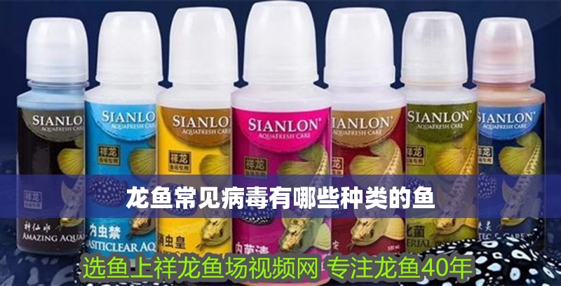 龍魚常見病毒有哪些種類的魚