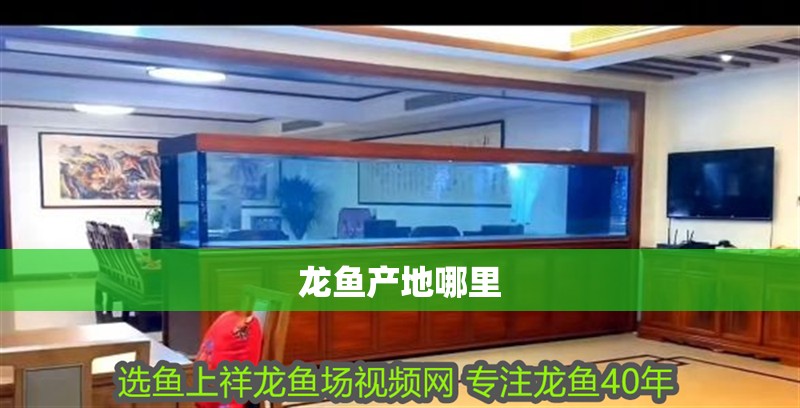 龍魚產地哪里