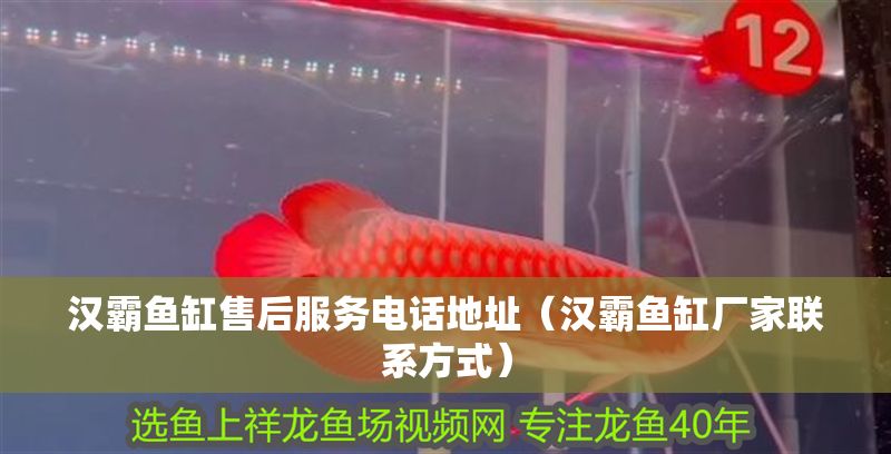漢霸魚缸售后服務電話地址(漢霸魚缸廠家聯系方式) 豬鼻龜百科 第1張 漢霸魚缸售后服務電話地址(漢霸魚缸廠家聯系方式) 漢霸魚缸售后服務電話地址(漢霸魚缸廠家聯系方式) 豬鼻龜百科 第1張