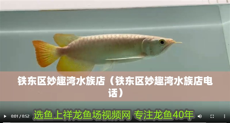 鐵東區妙趣灣水族店（鐵東區妙趣灣水族店電話）