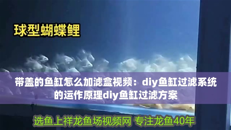 帶蓋的魚缸怎么加濾盒視頻：diy魚缸過濾系統的運作原理diy魚缸過濾方案