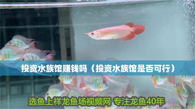 投資水族館賺錢嗎（投資水族館是否可行）