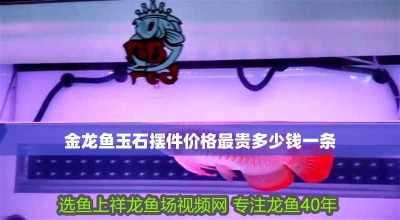 金龍魚玉石擺件價格最貴多少錢一條