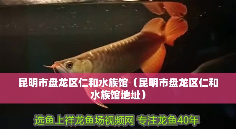 昆明市盤龍區(qū)仁和水族館（昆明市盤龍區(qū)仁和水族館地址）