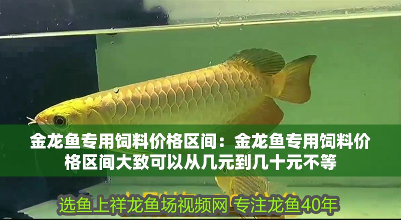 金龍魚專用飼料價格區間：金龍魚專用飼料價格區間大致可以從幾元到幾十元不等