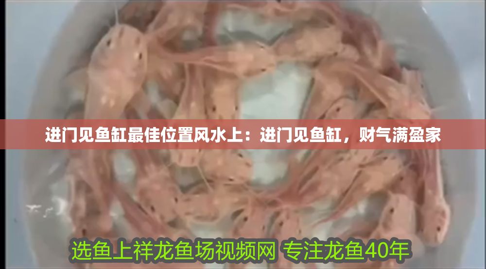 進門見魚缸最佳位置風水上：進門見魚缸，財氣滿盈家