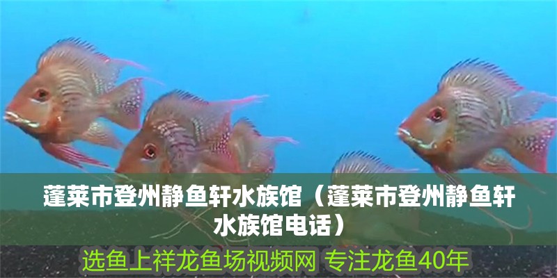 蓬萊市登州靜魚軒水族館（蓬萊市登州靜魚軒水族館電話）