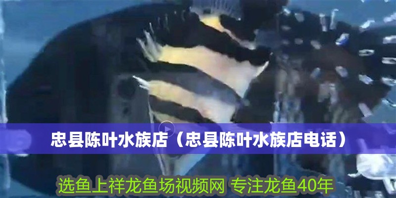 忠縣陳葉水族店（忠縣陳葉水族店電話）