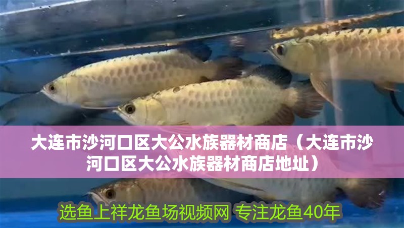 大連市沙河口區(qū)大公水族器材商店（大連市沙河口區(qū)大公水族器材商店地址）