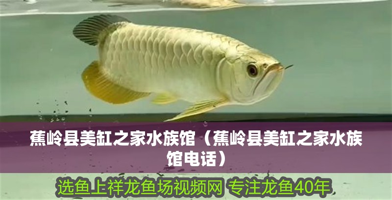 蕉嶺縣美缸之家水族館（蕉嶺縣美缸之家水族館電話） 蕉嶺縣美缸之家水族館（蕉嶺縣美缸之家水族館電話） 全國水族館企業名錄 第2張