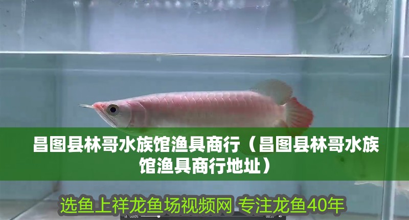 昌圖縣林哥水族館漁具商行（昌圖縣林哥水族館漁具商行地址） 昌圖縣林哥水族館漁具商行（昌圖縣林哥水族館漁具商行地址） 全國水族館企業名錄 第2張