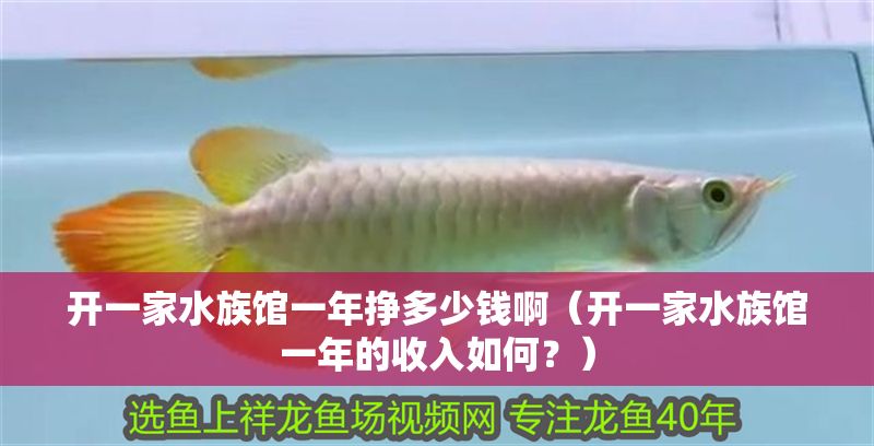 開一家水族館一年掙多少錢啊（開一家水族館一年的收入如何？）