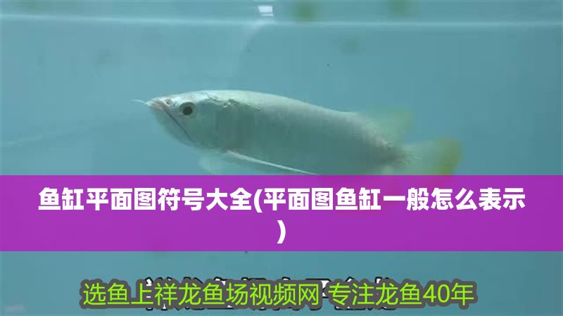 魚缸平面圖符號大全(平面圖魚缸一般怎么表示)