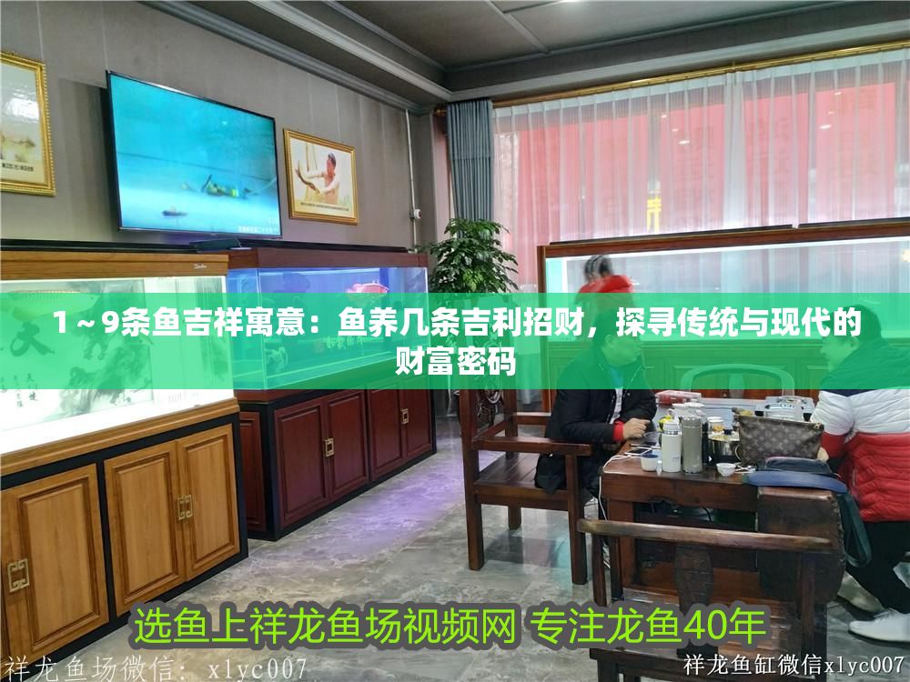 1～9條魚吉祥寓意：魚養(yǎng)幾條吉利招財，探尋傳統(tǒng)與現(xiàn)代的財富密碼 1～9條魚吉祥寓意：魚養(yǎng)幾條吉利招財，探尋傳統(tǒng)與現(xiàn)代的財富密碼 龍魚百科 第1張