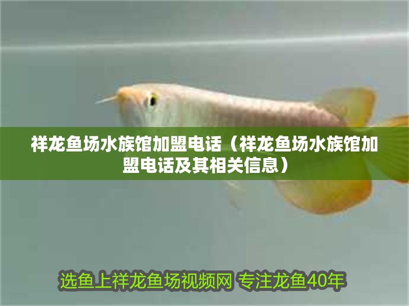 祥龍魚場水族館加盟電話（祥龍魚場水族館加盟電話及其相關信息） 祥龍魚場水族館加盟電話（祥龍魚場水族館加盟電話及其相關信息） 水族館百科（水族館加盟） 第1張
