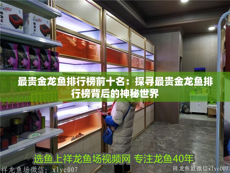 最貴金龍魚排行榜前十名：探尋最貴金龍魚排行榜背后的神秘世界