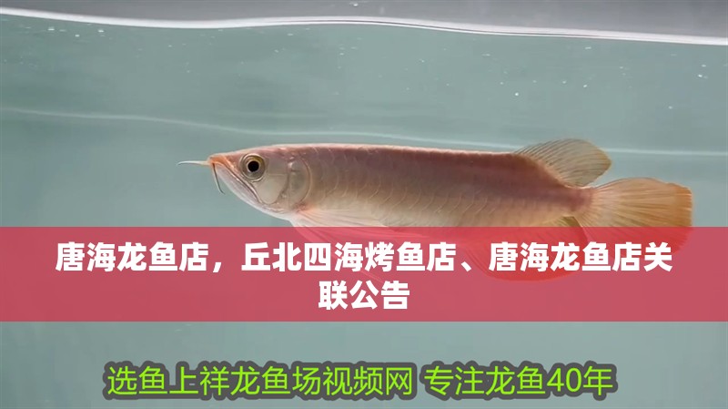 唐海龍魚店，丘北四海烤魚店、唐海龍魚店關聯公告