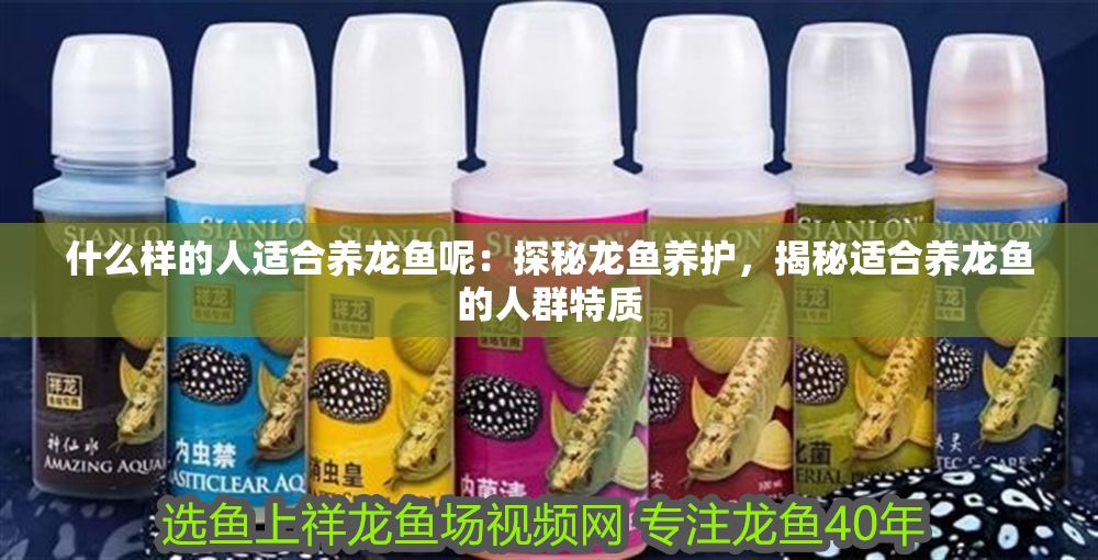 什么樣的人適合養龍魚呢：探秘龍魚養護，揭秘適合養龍魚的人群特質