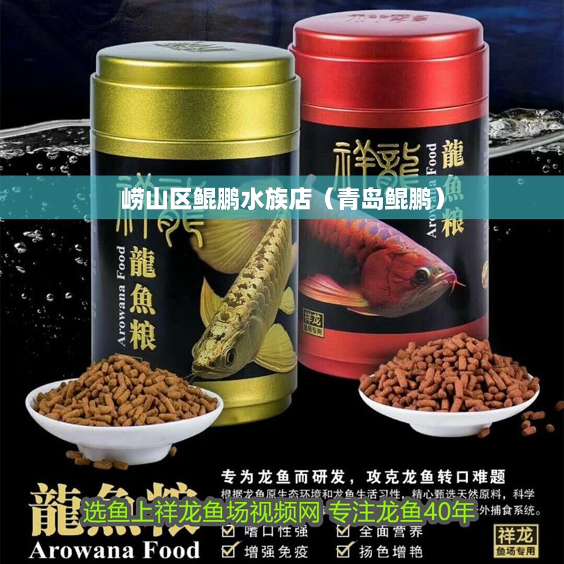嶗山區(qū)鯤鵬水族店（青島鯤鵬）