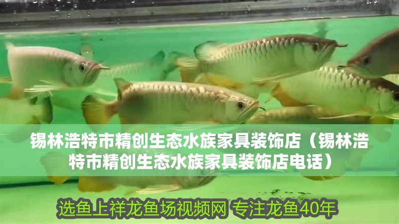 錫林浩特市精創生態水族家具裝飾店（錫林浩特市精創生態水族家具裝飾店電話）