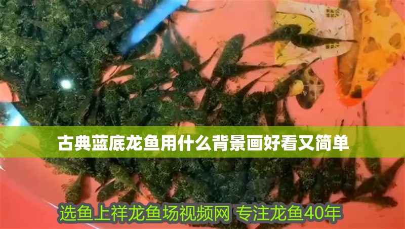 古典藍(lán)底龍魚用什么背景畫好看又簡單
