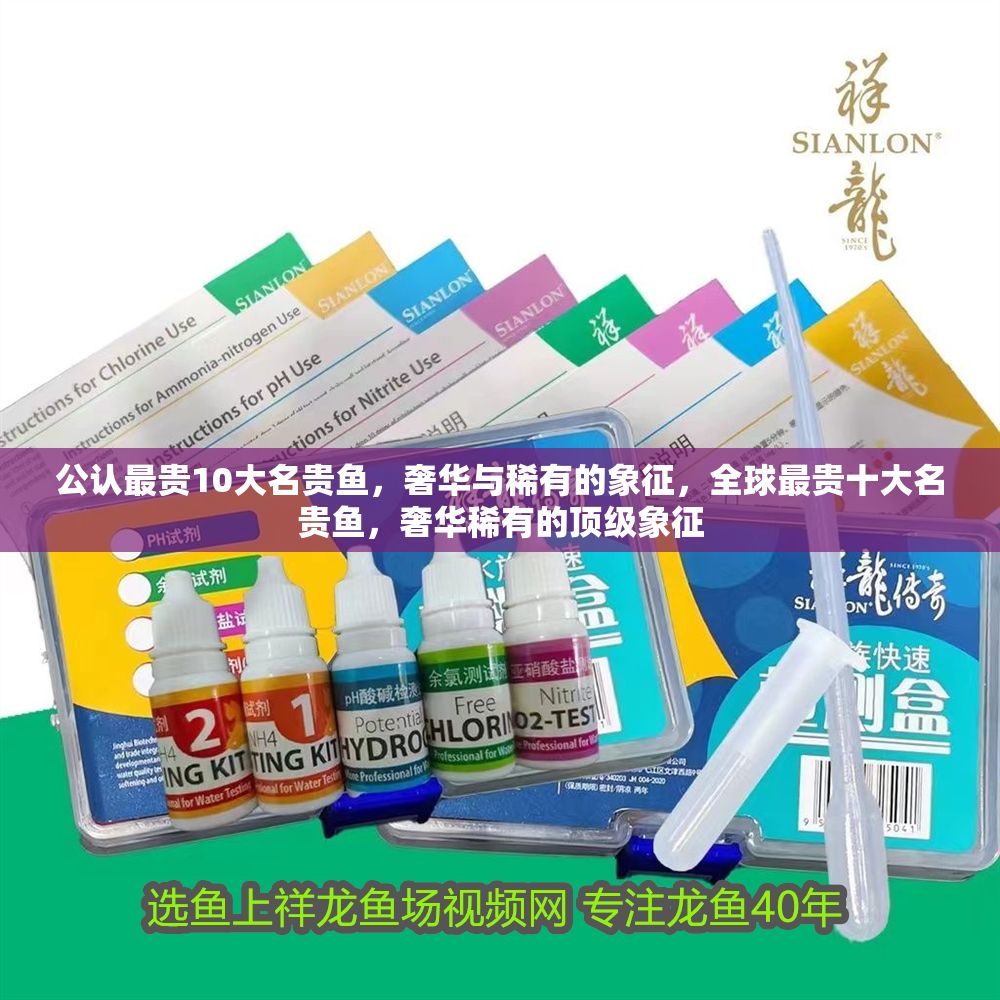 公認最貴10大名貴魚，奢華與稀有的象征，全球最貴十大名貴魚，奢華稀有的頂級象征