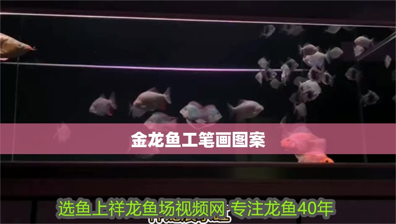 金龍魚工筆畫圖案 金龍魚工筆畫圖案 龍魚百科 第2張