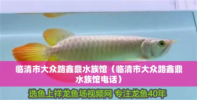 臨清市大眾路鑫鼎水族館（臨清市大眾路鑫鼎水族館電話）