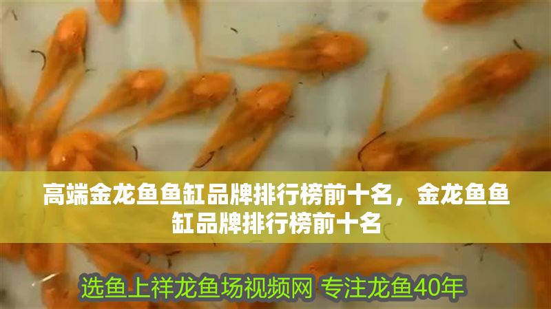 高端金龍魚魚缸品牌排行榜前十名，金龍魚魚缸品牌排行榜前十名