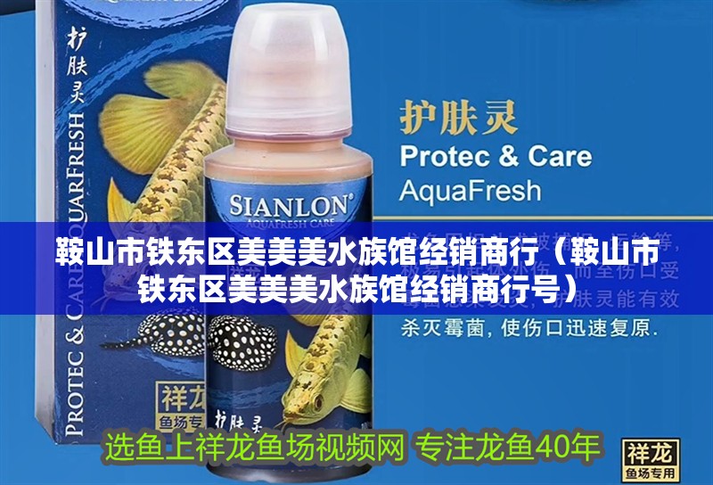 鞍山市鐵東區(qū)美美美水族館經(jīng)銷商行（鞍山市鐵東區(qū)美美美水族館經(jīng)銷商行號）