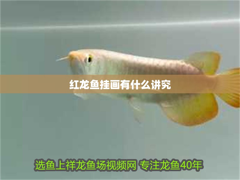 紅龍魚掛畫有什么講究