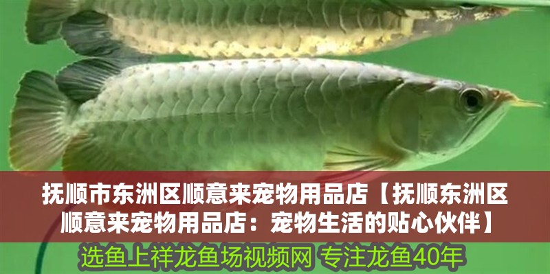 撫順市東洲區(qū)順意來寵物用品店【撫順東洲區(qū)順意來寵物用品店：寵物生活的貼心伙伴】
