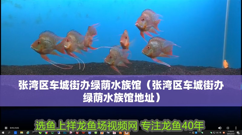 張灣區(qū)車城街辦綠蔭水族館（張灣區(qū)車城街辦綠蔭水族館地址）