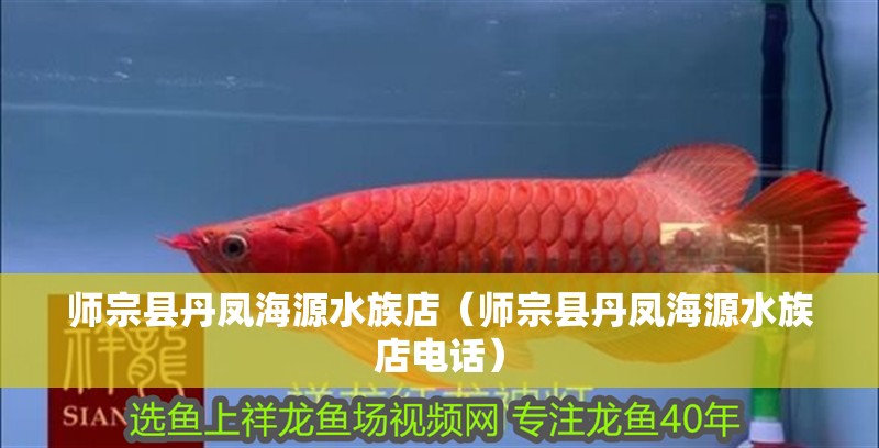 師宗縣丹鳳海源水族店（師宗縣丹鳳海源水族店電話）