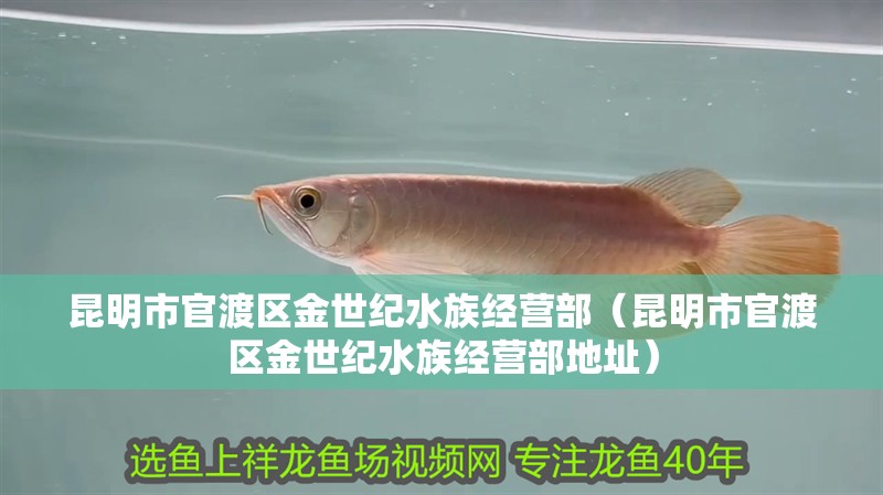 昆明市官渡區金世紀水族經營部（昆明市官渡區金世紀水族經營部地址） 昆明市官渡區金世紀水族經營部（昆明市官渡區金世紀水族經營部地址） 全國水族館企業名錄 第2張