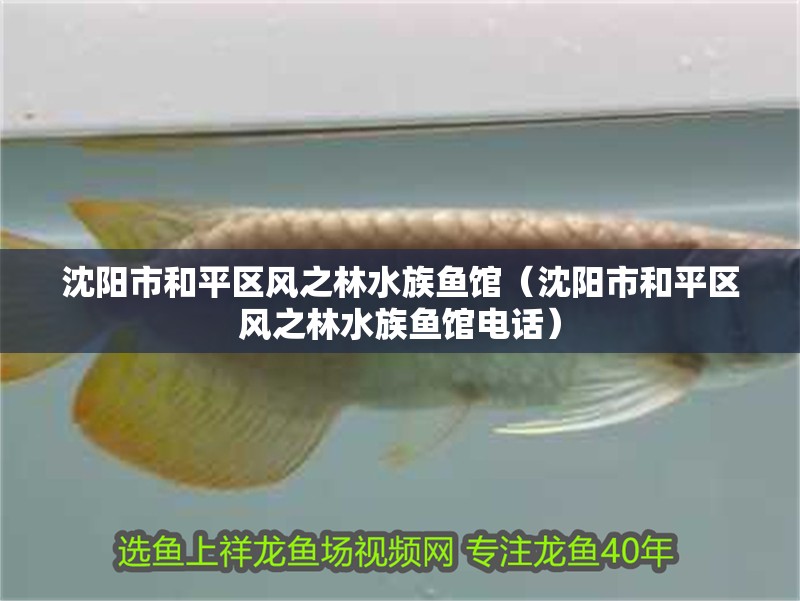 沈陽市和平區風之林水族魚館（沈陽市和平區風之林水族魚館電話） 沈陽市和平區風之林水族魚館（沈陽市和平區風之林水族魚館電話） 全國水族館企業名錄 第2張