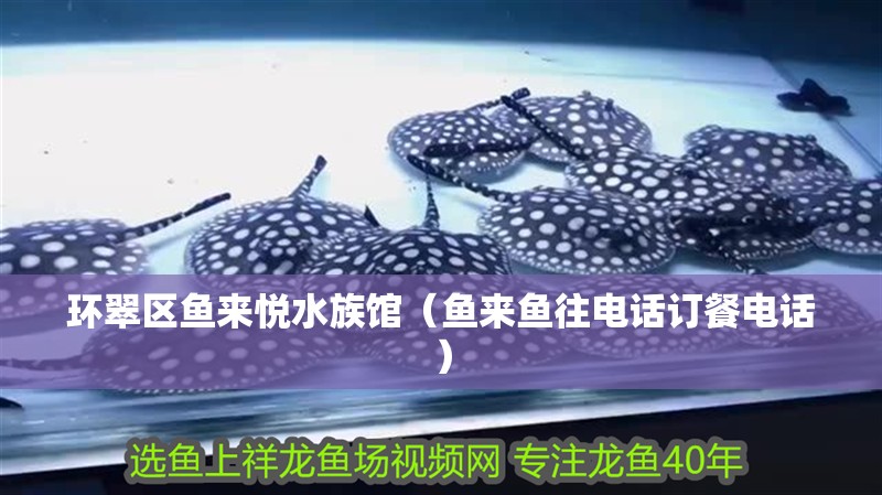 環翠區魚來悅水族館（魚來魚往電話訂餐電話）