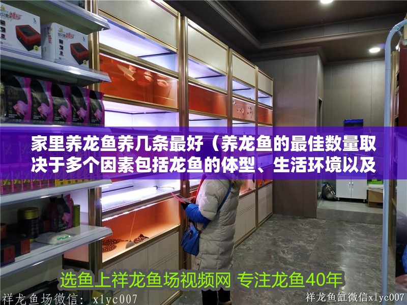 家里養(yǎng)龍魚養(yǎng)幾條最好（養(yǎng)龍魚的最佳數(shù)量取決于多個因素包括龍魚的體型、生活環(huán)境以及風(fēng)水考慮）