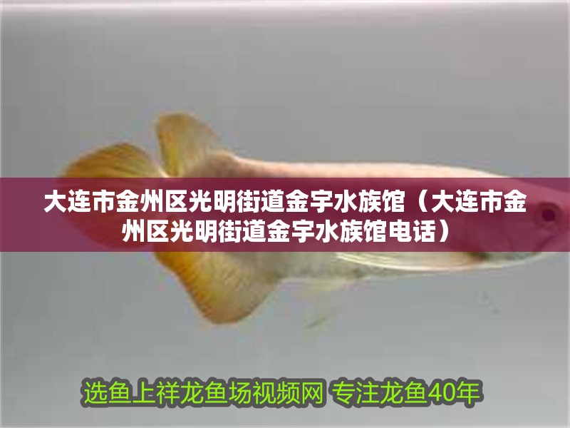 大連市金州區光明街道金宇水族館（大連市金州區光明街道金宇水族館電話）