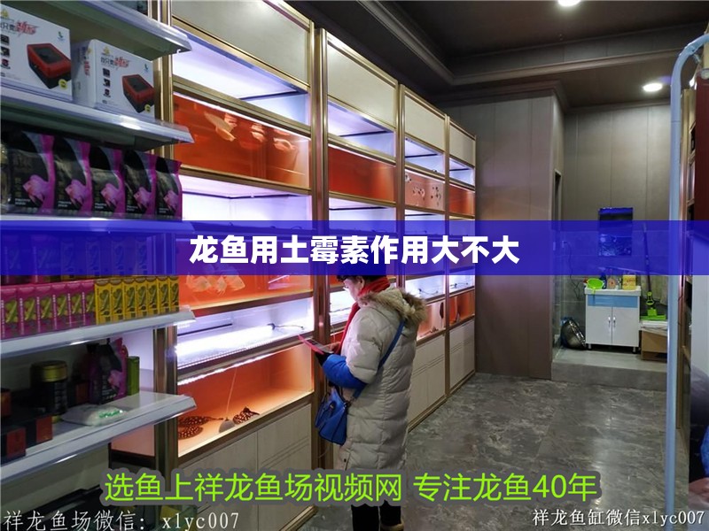 龍魚用土霉素作用大不大