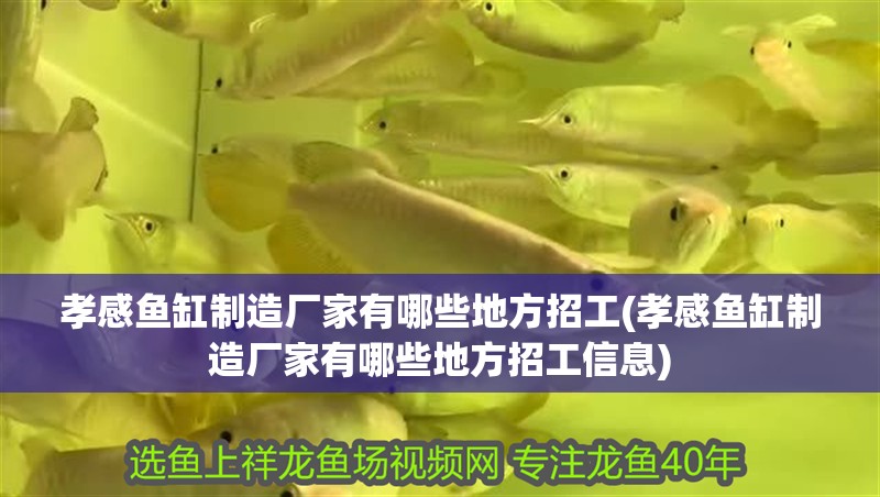 孝感魚缸制造廠家有哪些地方招工(孝感魚缸制造廠家有哪些地方招工信息)