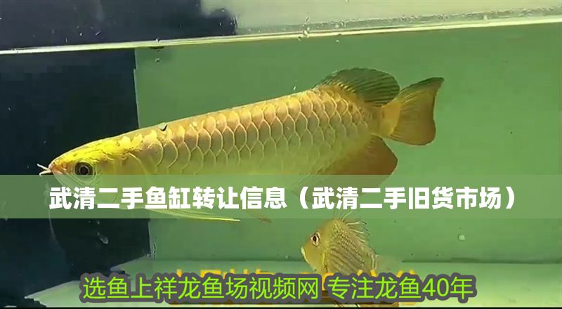 武清二手魚缸轉讓信息（武清二手舊貨市場）