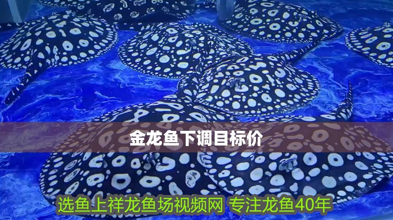 金龍魚下調(diào)目標價