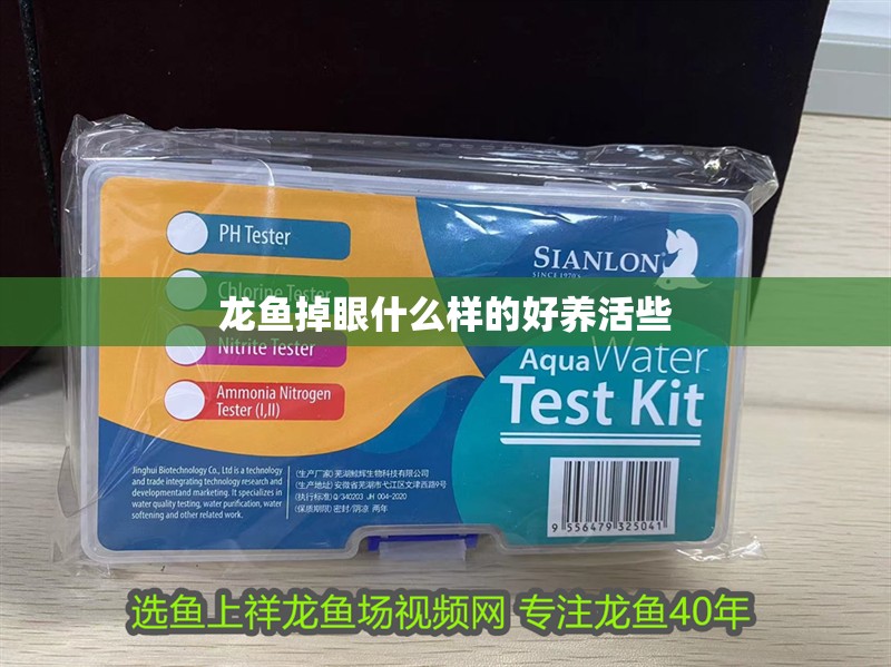 龍魚掉眼什么樣的好養活些
