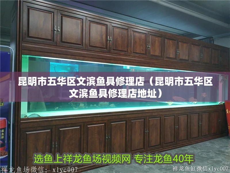 昆明市五華區(qū)文濱魚具修理店（昆明市五華區(qū)文濱魚具修理店地址）