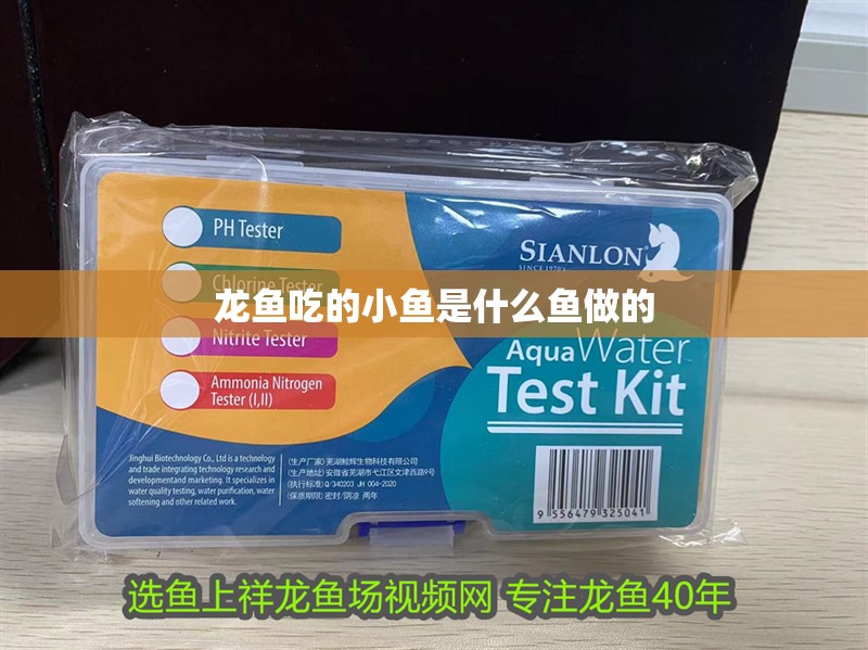 龍魚吃的小魚是什么魚做的