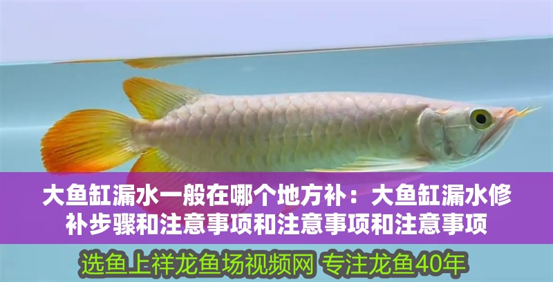 大魚缸漏水一般在哪個地方補：大魚缸漏水修補步驟和注意事項和注意事項和注意事項