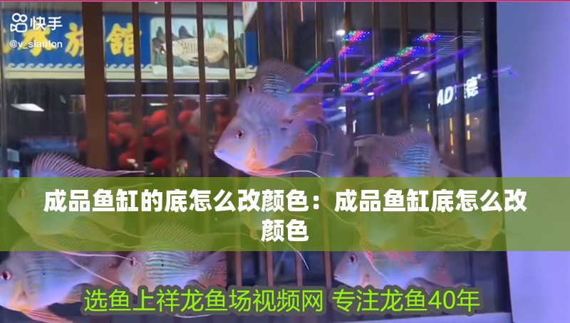 成品魚缸的底怎么改顏色：成品魚缸底怎么改顏色