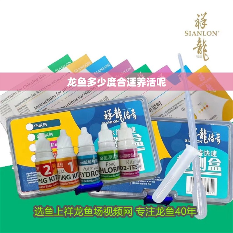 龍魚多少度合適養活呢